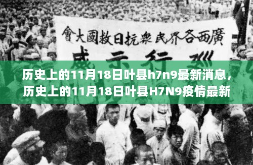 历史上的11月18日叶县H7N9疫情最新动态与影响分析，最新消息及其深度解析