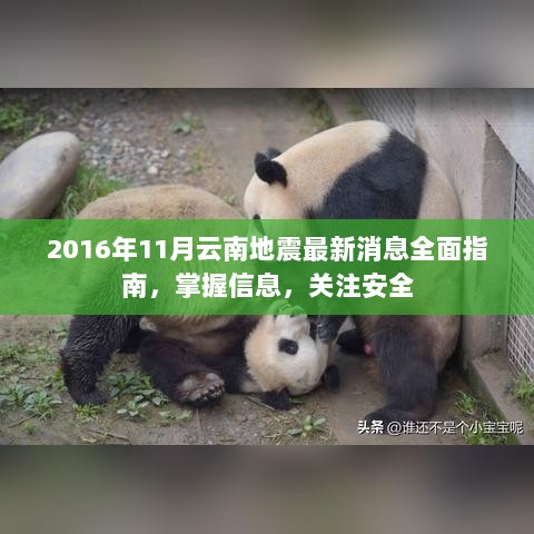 2016年11月云南地震最新消息全面指南，掌握信息，关注安全