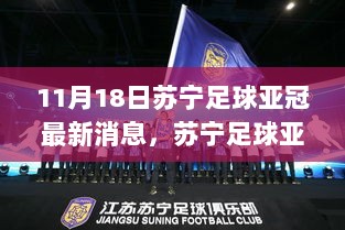 苏宁足球亚冠最新动态与热议焦点解析，赛场内外的11月18日最新消息