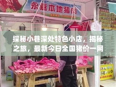 探秘小巷深处特色小店，揭秘之旅，最新今日全国猪价一网打尽！