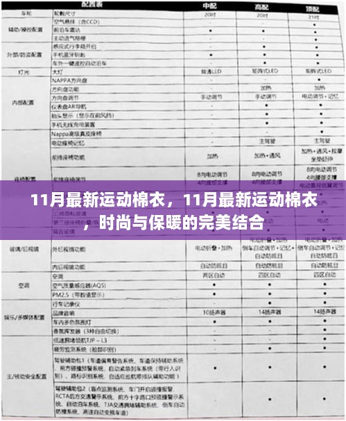 11月最新运动棉衣，11月最新运动棉衣，时尚与保暖的完美结合