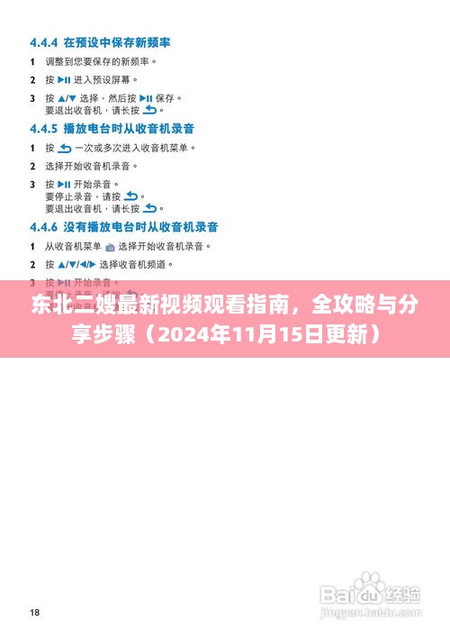 东北二嫂最新视频观看指南，全攻略与分享步骤（2024年11月15日更新）