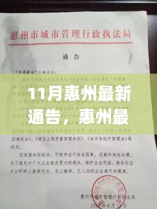 11月惠州最新通告，惠州最新通告，详细步骤指南，助您轻松完成任务学习新技能