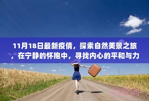 11月18日疫情下的自然探索之旅，寻找内心的宁静与力量，远离尘嚣的奇妙旅行