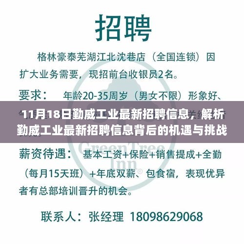 11月18日勤威工业最新招聘解析，机遇与挑战展望 —— 来自某某的观点