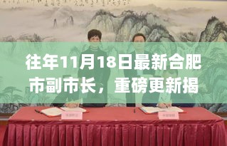 揭秘合肥新任副市长，重磅更新与背景探究——合肥市政府最新动态报道