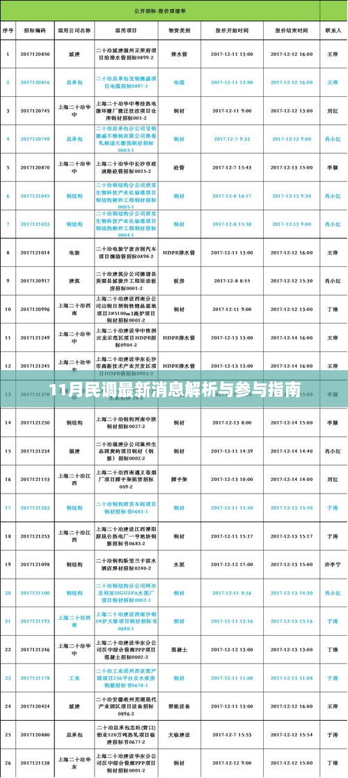 11月民调最新消息解析与参与指南