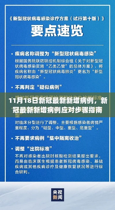 新冠最新新增病例指南，应对步骤详解，适用于初学者与进阶用户