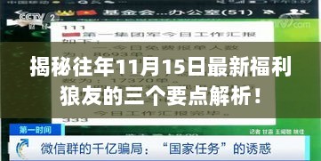 揭秘往年11月15日最新福利狼友的三个要点解析！