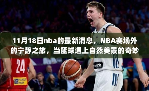 NBA赛场外的奇妙探险，篮球与自然美景的交融之旅（11月18日最新消息）