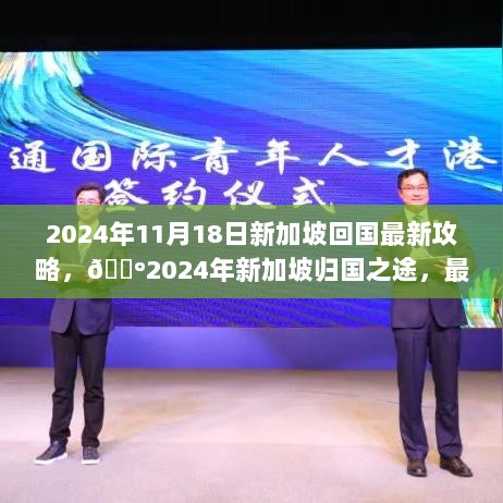 2024年新加坡归国之途，最新攻略与实用小贴士