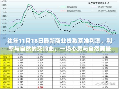 利率与自然交响曲，一场心灵与美景的浪漫旅行之旅