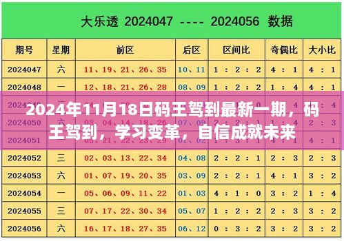 2024年11月 第565页