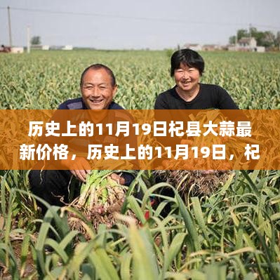 历史上的11月19日杞县大蒜最新价格，历史上的11月19日，杞县大蒜价格变迁启示录 —— 自信与成就感的成长之旅