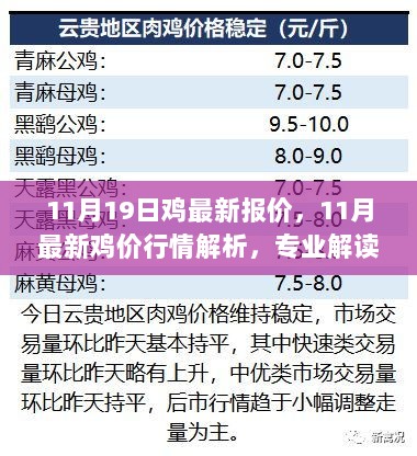 最新鸡价行情解析及未来趋势专业解读