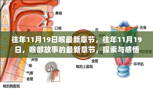 往年11月19日，喉部故事的最新章节与感悟