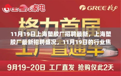 11月19日上海塑胶厂招聘盛况，行业焦点时刻