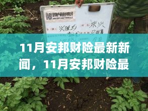 11月安邦财险创新策略与市场展望的最新动态新闻