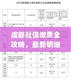 成都社保缴费全攻略，最新明细与缴费步骤解析