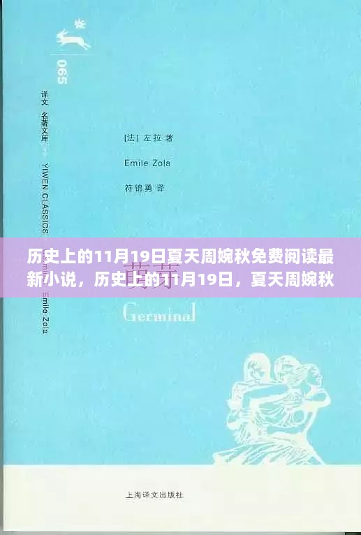 历史上的特殊日子，周婉秋免费阅读最新小说全解析——夏日篇，11月19日揭秘