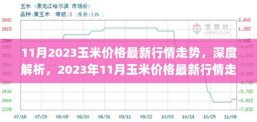 2023年11月玉米价格最新行情走势深度解析与全面评测