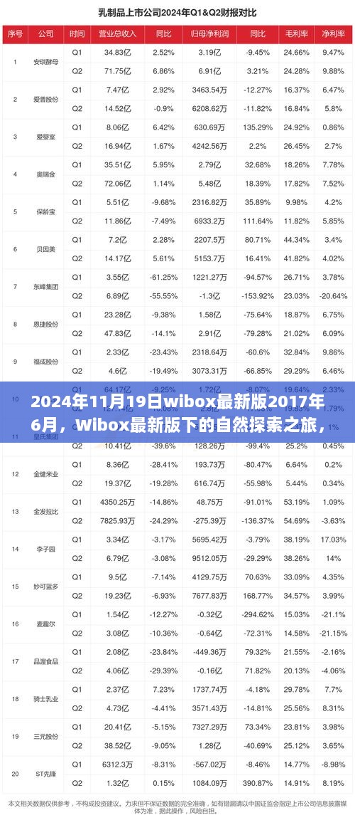 Wibox最新版的自然探索之旅，寻找心中的桃花源（2024年11月19日）