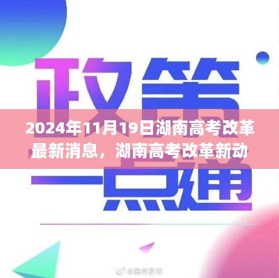 湖南高考改革深度解读与观点碰撞，最新动向及深度解读（2024年11月19日）