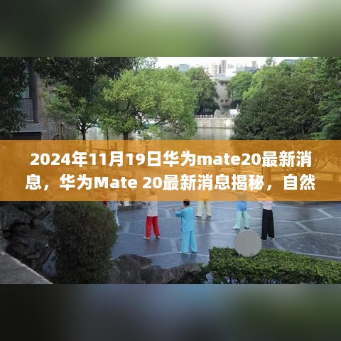 华为Mate 20最新消息揭秘，启程自然之旅，探寻内心宁静之地