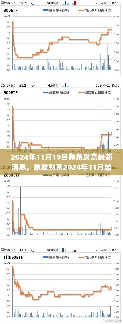 象象财富最新动态评测，产品特性深度解析与市场定位用户体验探讨（2024年11月版）