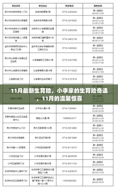 小李家的生育险奇遇，11月最新政策带来的温馨惊喜