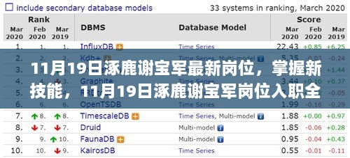 11月19日涿鹿谢宝军新岗位入职指南，掌握新技能与全流程