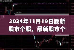 2024年11月19日股市个股动态与投资全攻略，掌握操作技巧