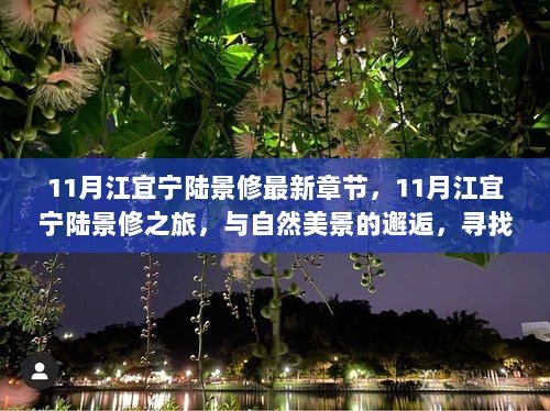 11月江宜宁陆景修之旅，自然美景中的心灵邂逅与内心平和的追寻