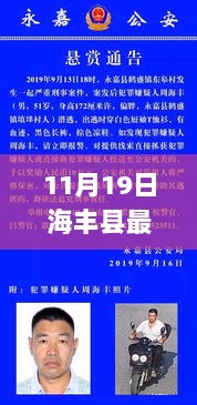 海丰县最新人事任免全面解读，特性、体验、竞品对比及用户群体深度分析