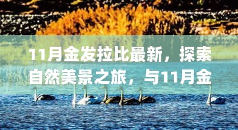 跟随11月金发拉比，开启自然美景探索之旅，寻找内心的宁静与喜悦