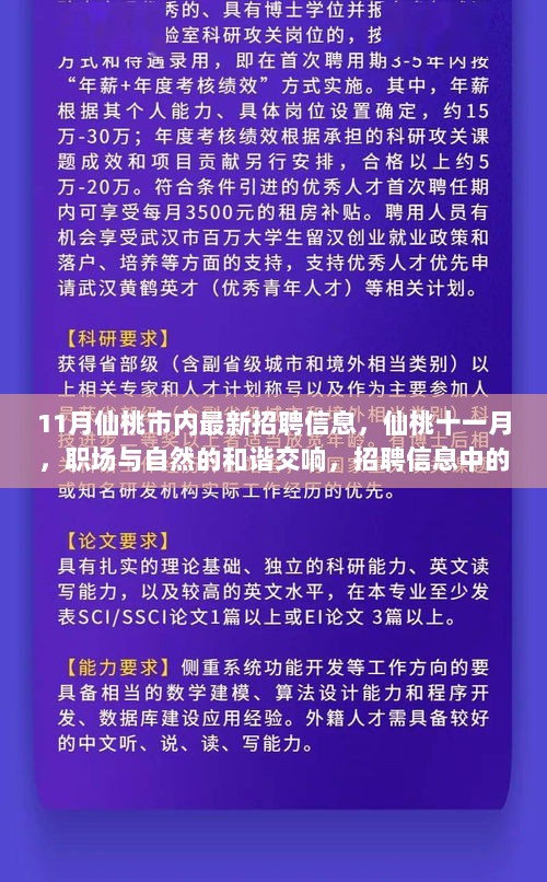 仙桃十一月招聘信息，职场与自然的和谐交响，心灵之旅启程点