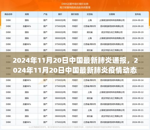 中国最新肺炎通报，积极应对，共筑防控新篇章（2024年11月20日更新）