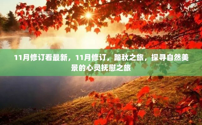 踏秋之旅，探寻自然美景的心灵抚慰之旅（最新修订版）