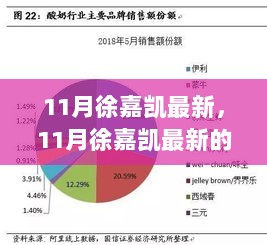 11月徐嘉凯最新观点论述，创新与稳健并行不悖