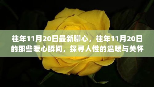 探寻往年11月20日的暖心瞬间，人性的温暖关怀与慰藉