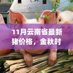 金秋时节探寻云南省最新猪价格走势揭秘背后的故事