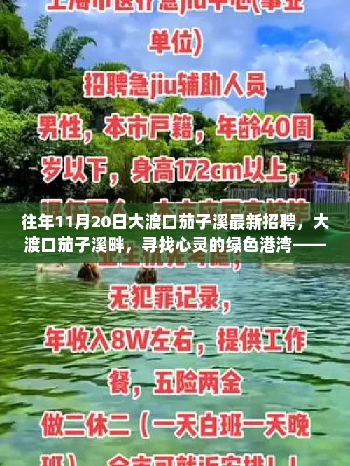 大渡口茄子溪畔心灵绿色港湾，最新招聘邀您共赏自然美景之旅之旅