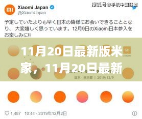 11月20日最新版米家，11月20日最新版米家，全新智能生活体验概览