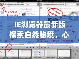 IE浏览器最新版探索自然秘境，心灵之旅启动下载