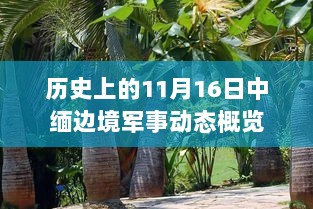 历史上的11月16日中缅边境军事动态概览