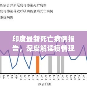 印度最新死亡病例报告，深度解读疫情现状与发展趋势（截至2024年11月16日）