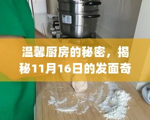 温馨厨房的秘密，揭秘11月16日的发面奇遇