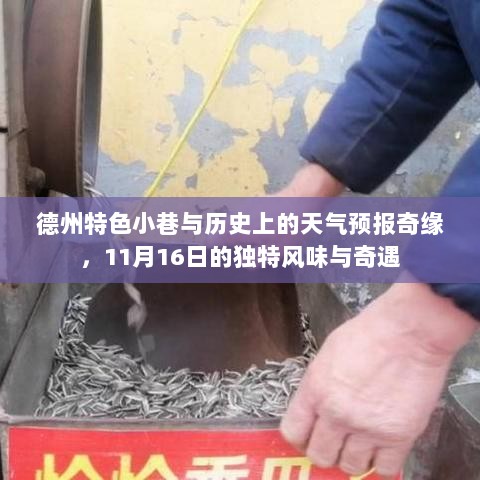 德州特色小巷与历史上的天气预报奇缘，11月16日的独特风味与奇遇