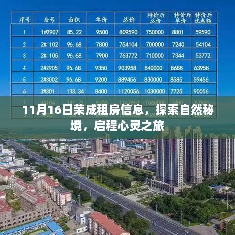 11月16日荣成租房信息，探索自然秘境，启程心灵之旅