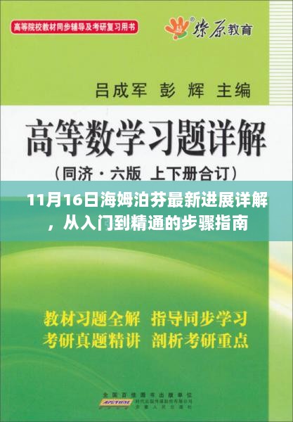 11月16日海姆泊芬最新进展详解，从入门到精通的步骤指南